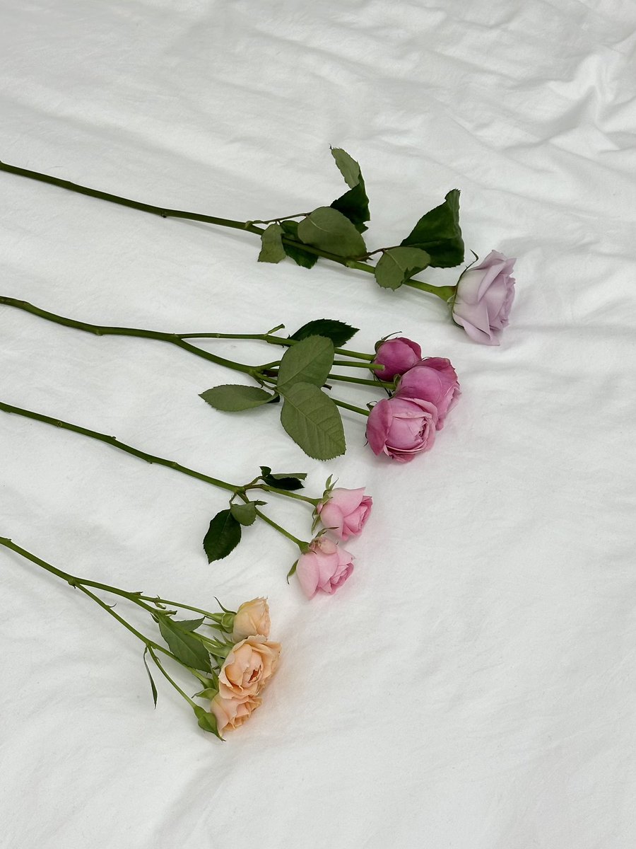 얼터_alternativestereo tweet media