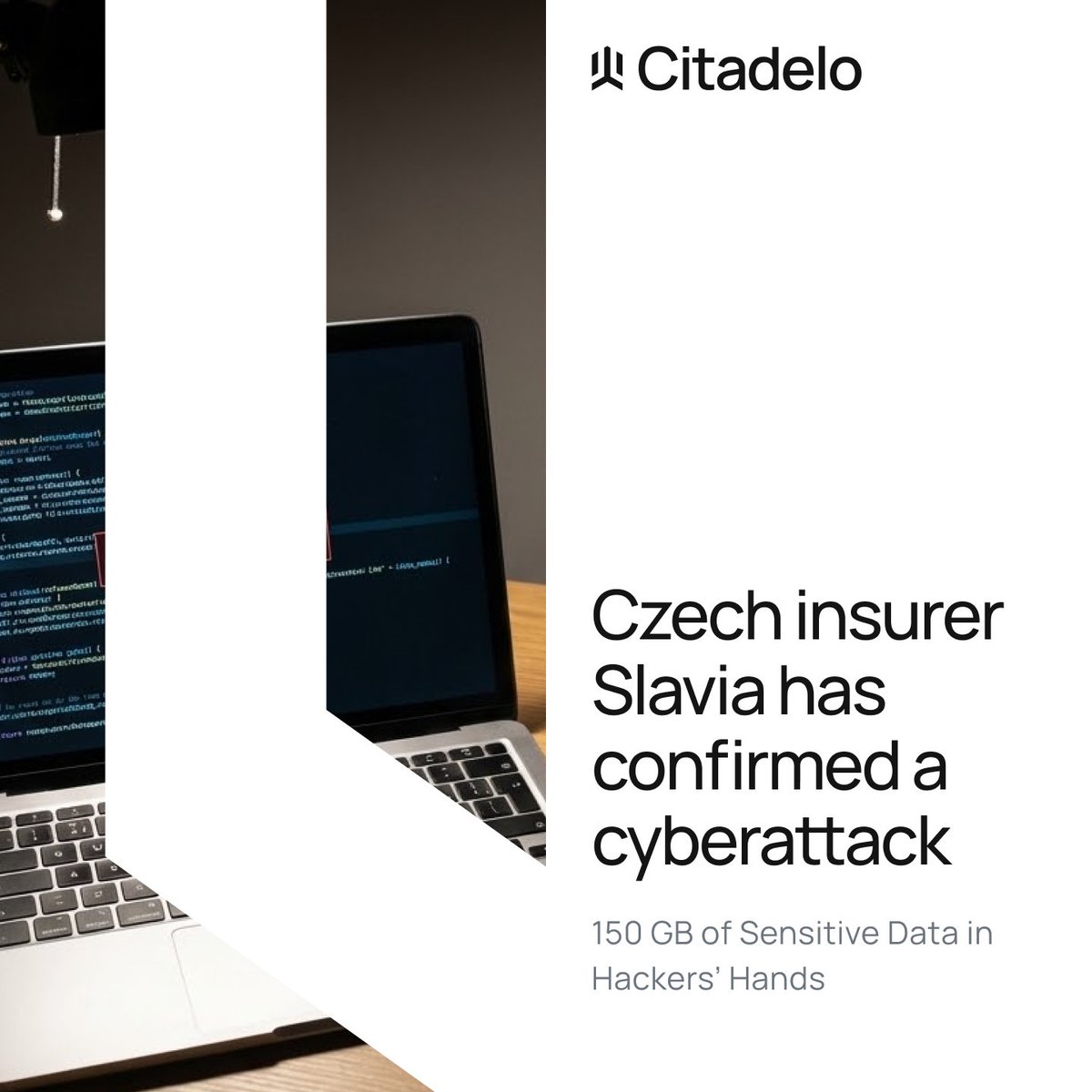 Citadelo tweet media