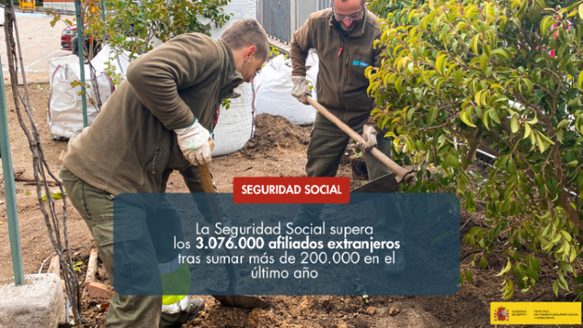 Ministerio Inclusión Seguridad Social Migraciones tweet media