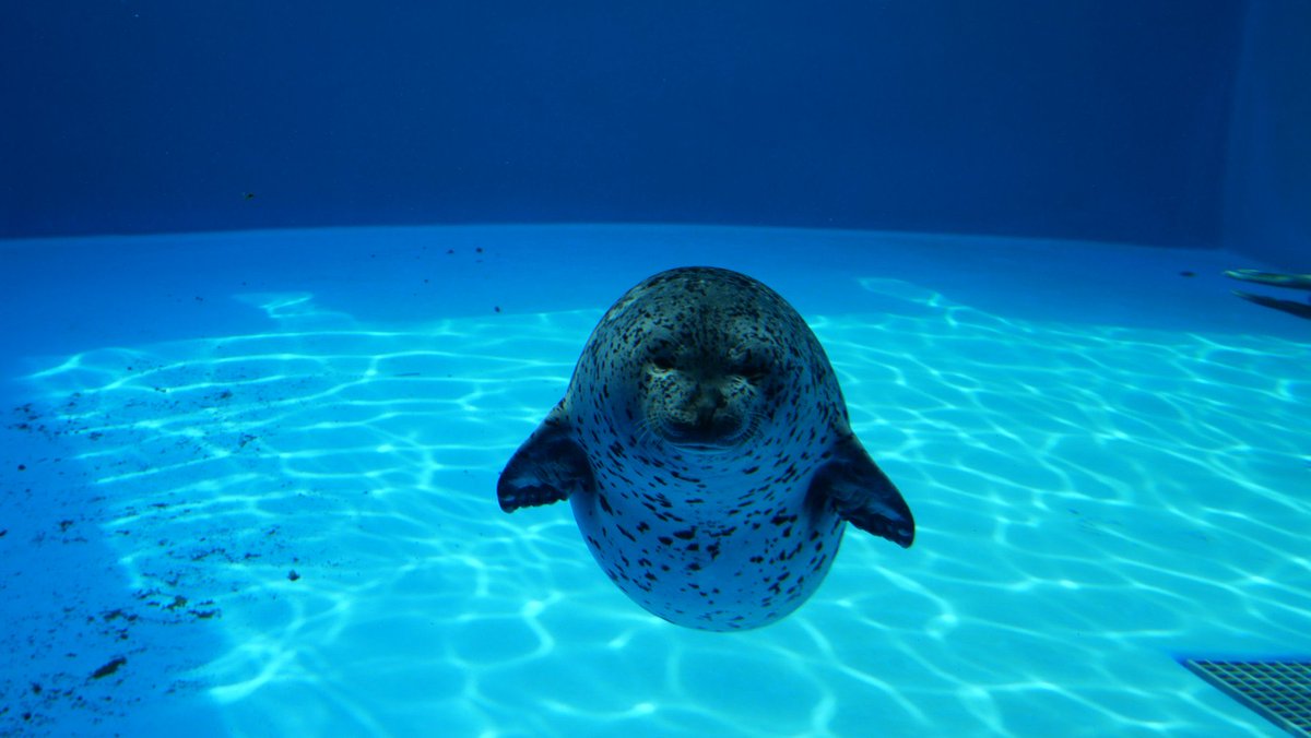 last known benjamin tweet media