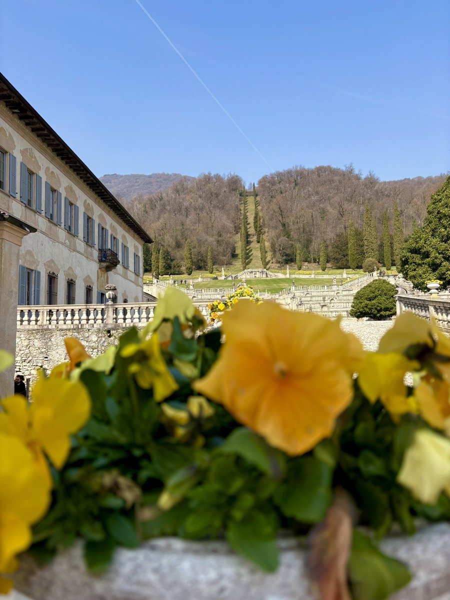 Magnifica Lounge 🫐 tweet media