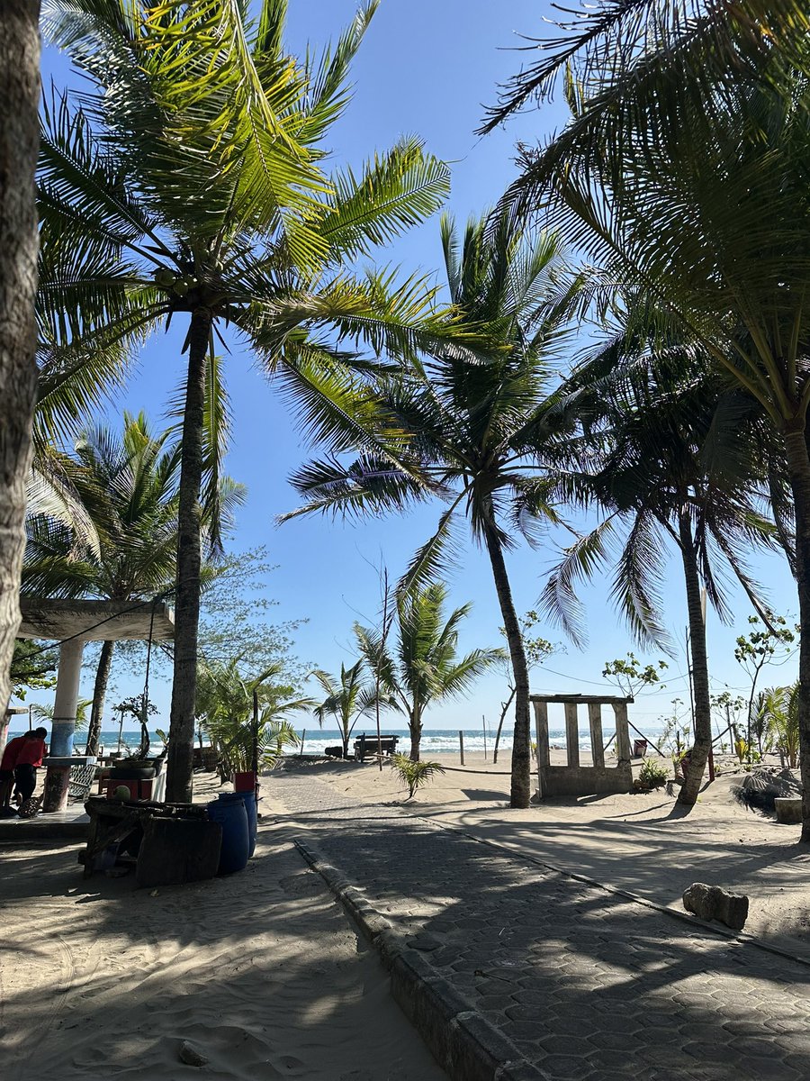 Ken-tucky tweet media