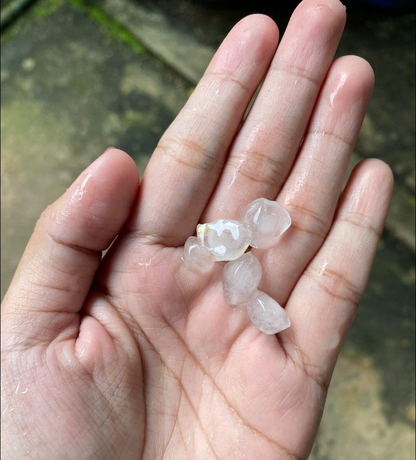 Eleven Myanmar tweet media