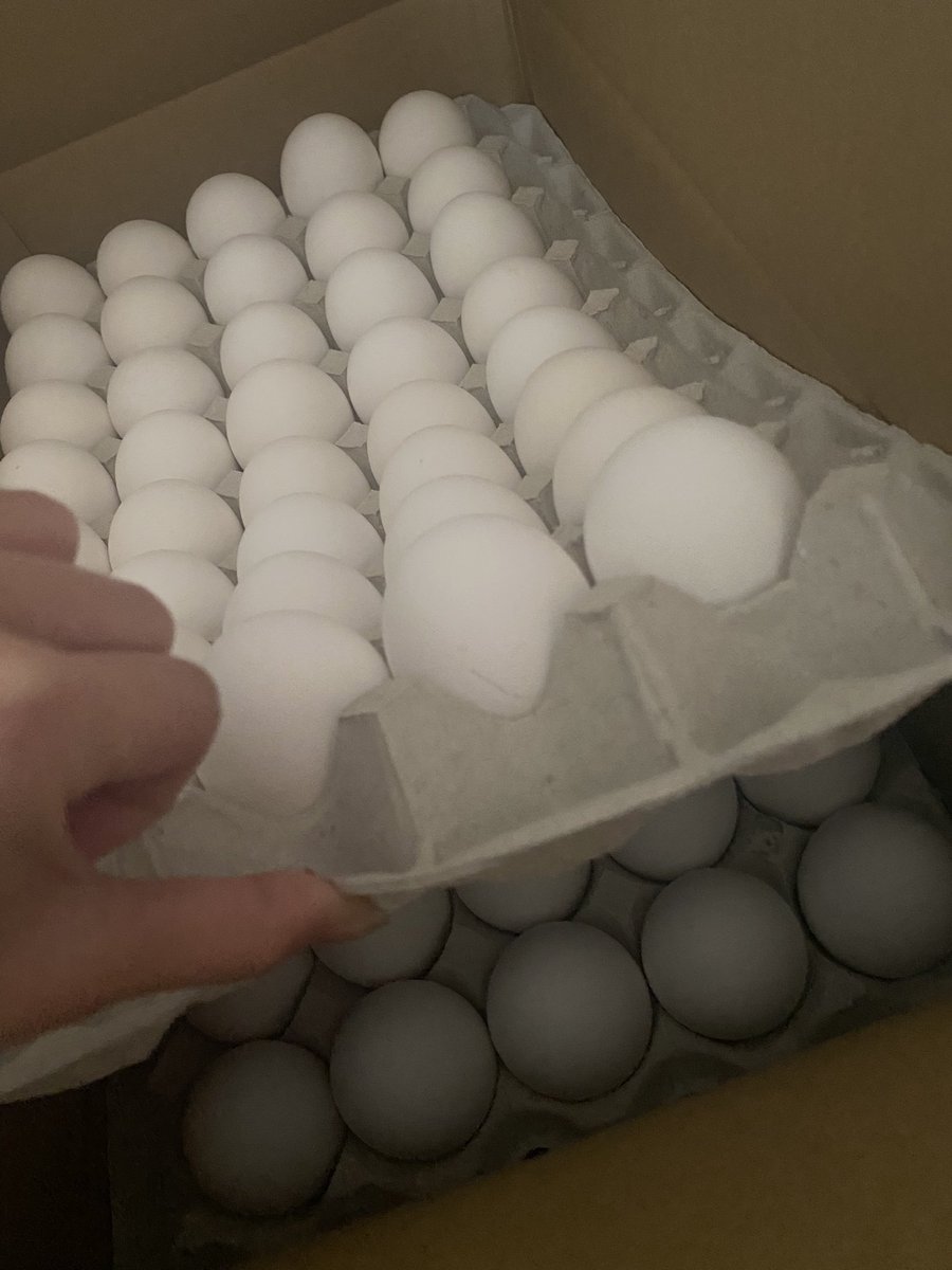 ROCK･LEE tweet media