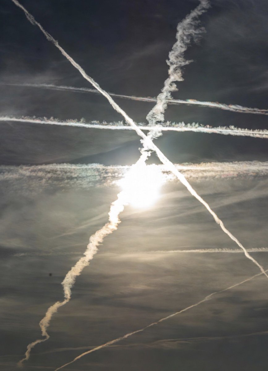 🕊️Myriam🕊️Sauvons L’humanité🕊️@CelebritesSM🕊 tweet media