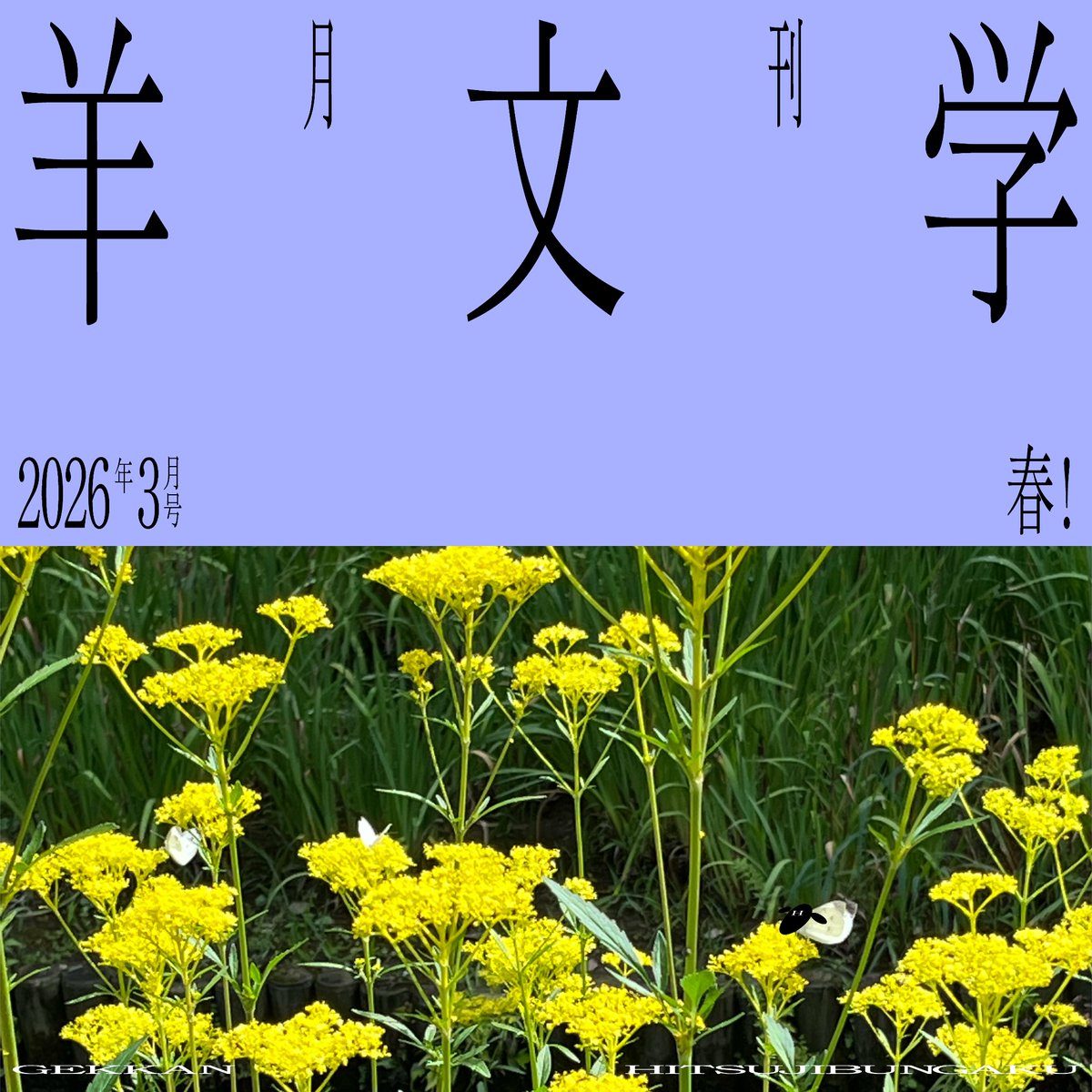 羊文学 2nd demo ファンファーレ 羊文学2nd demo ファンファーレ - メルカリ