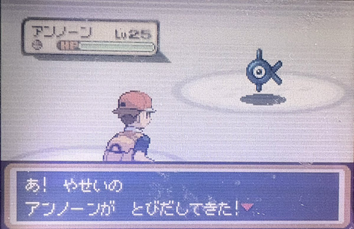 タンリー tweet media