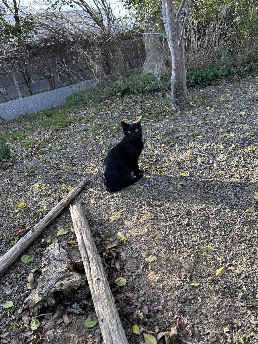 じぇいそん tweet media