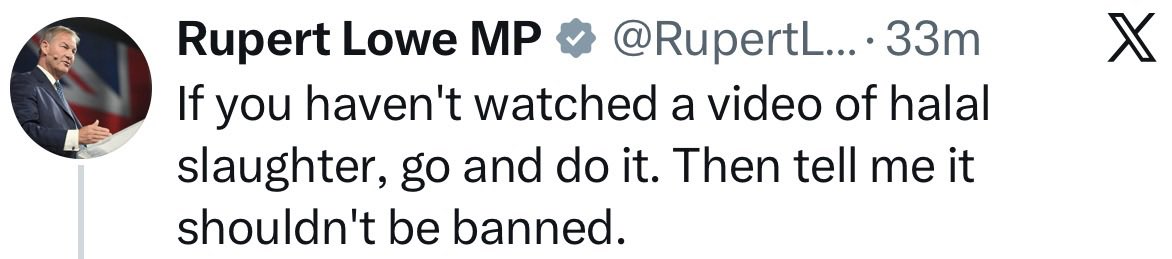 Wolf 🐺 tweet media