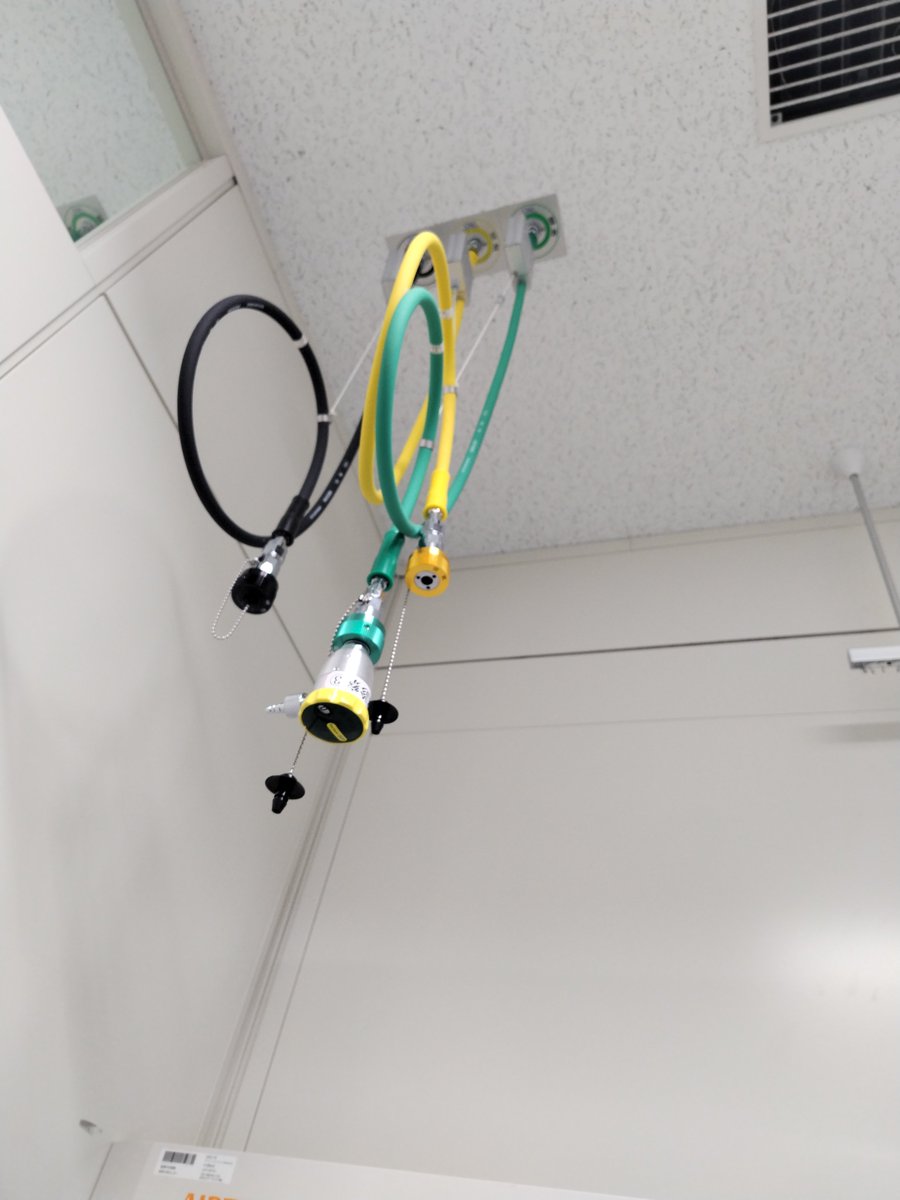 明海咲月 tweet media