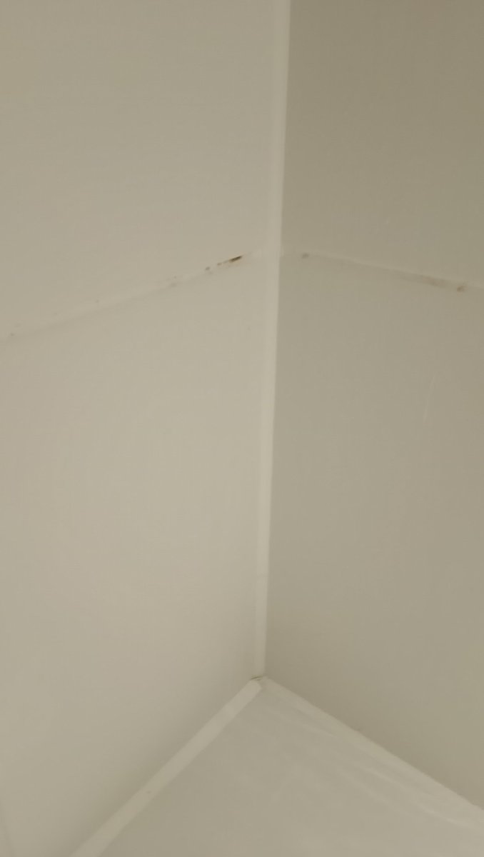 DanniiXBhri 🐼 tweet media