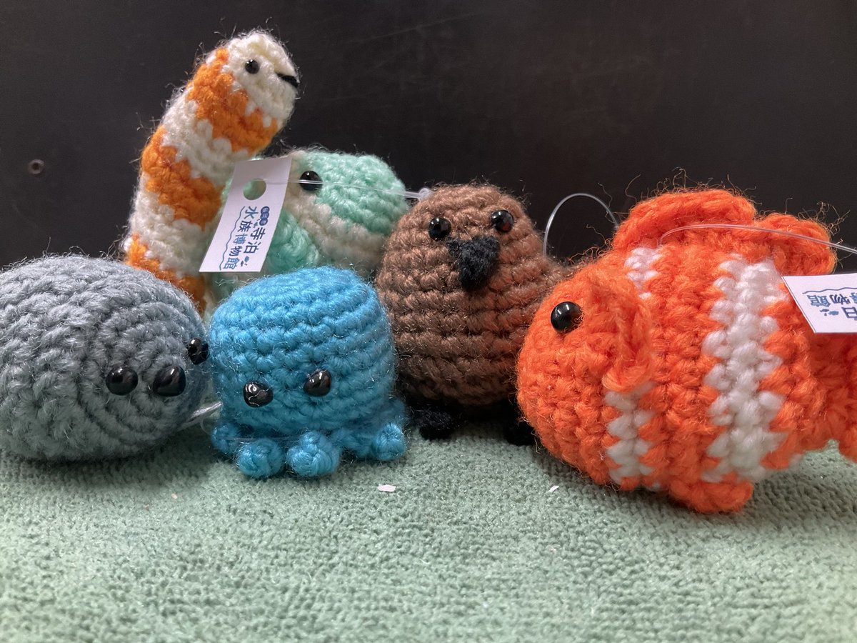 寺泊水族博物館【公式】 tweet media