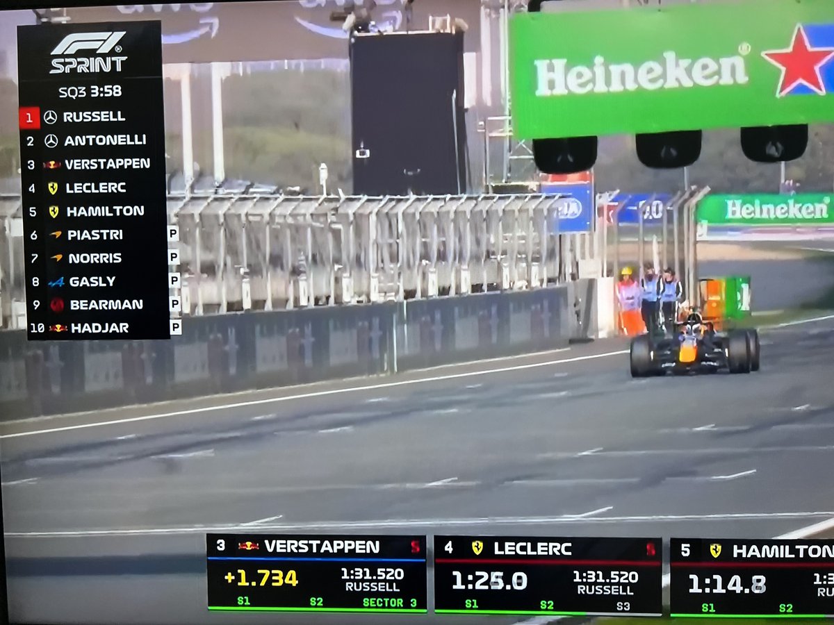 Oriental Darter tweet media