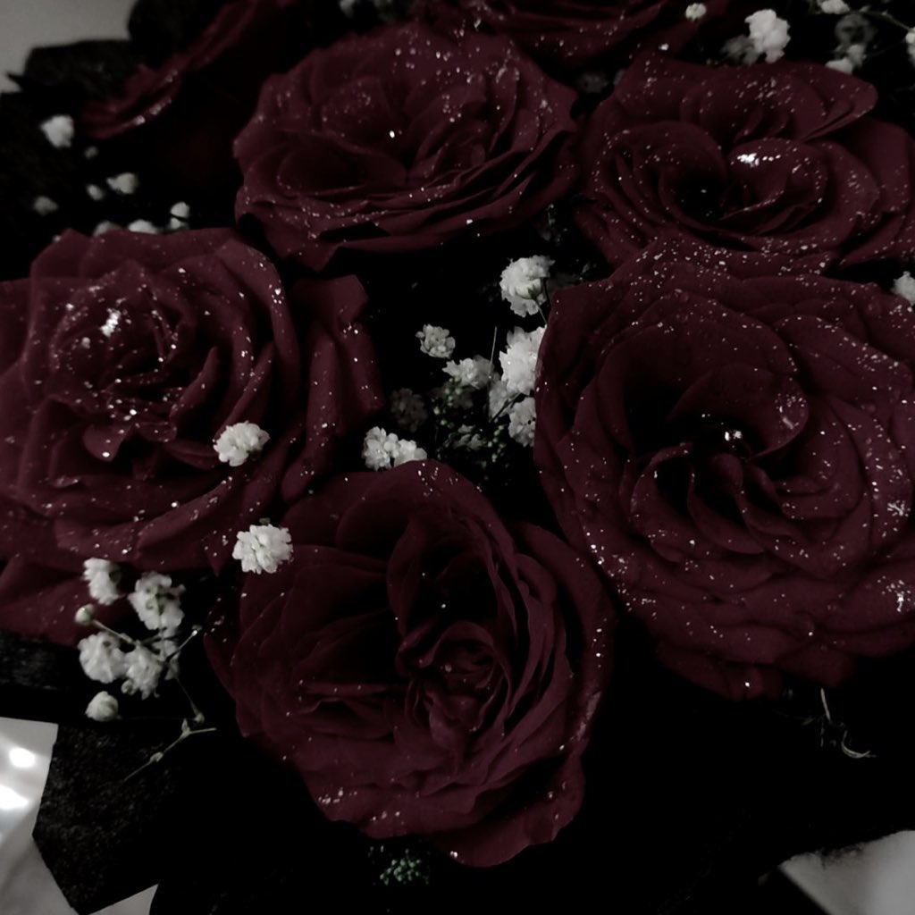 花園いるま🥀‎ tweet media