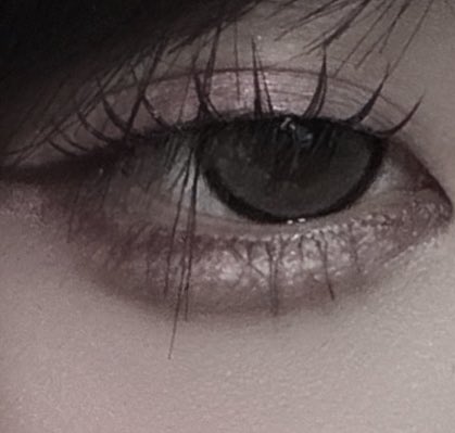 花園いるま🥀‎ tweet media