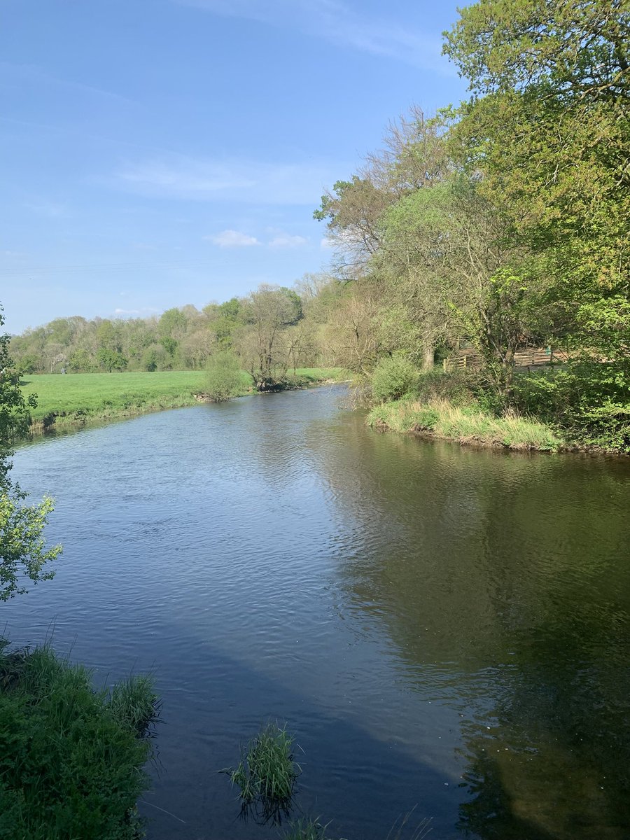 mostlyswimming's tweet photo. @Feargal_Sharkey The view from my home. 25 years ago we were kept awake by the sound of fish returning to spawn, jumping at night. Now, almost nothing. The otters have become more scarce and the river bed is covered in silt. This is the #teifi, once queen of rivers. https://t.co/tCiyxUpT8K
