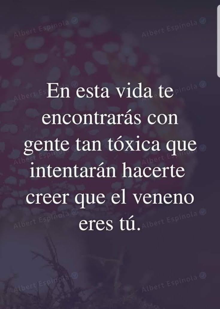 Imperio Estoico. (@imperioestoico) on Twitter photo 