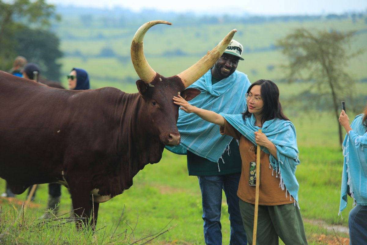 Emburara Farm Lodge tweet media