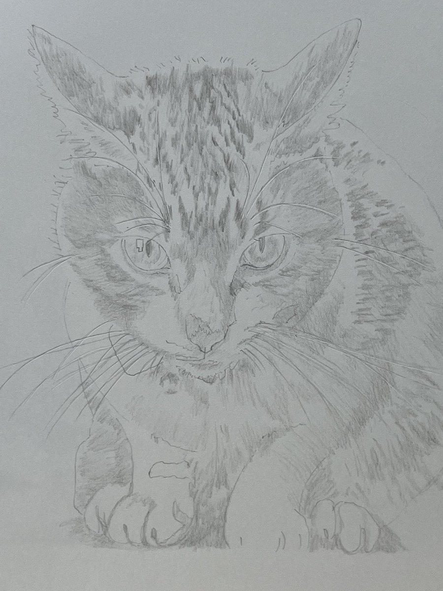 oyumi662897's tweet image. 下がき、やっとできた？
モデルはもちろん #我が家のアイドル #Bruno です。鉛筆の線が色鉛筆で塗る時に気になって毛の濃い部分はもうグレーで描き込みながら鉄筆入れながら進めました。
明日から色鉛筆で塗り塗りの予定。