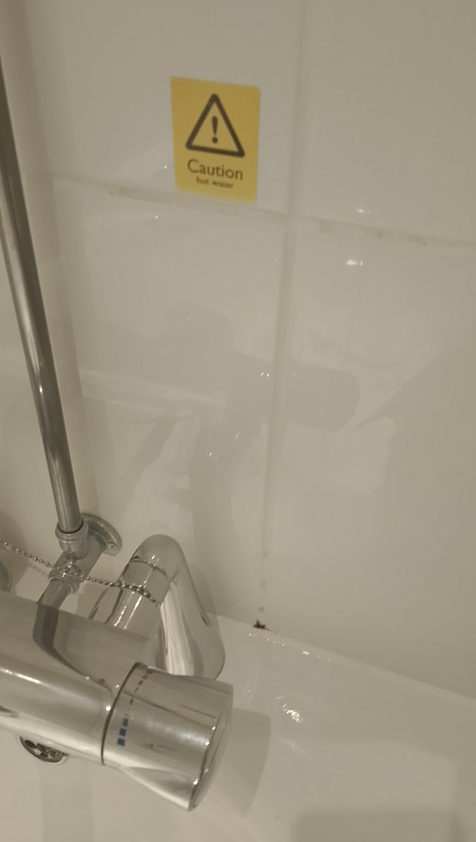 DanniiXBhri 🐼 tweet media