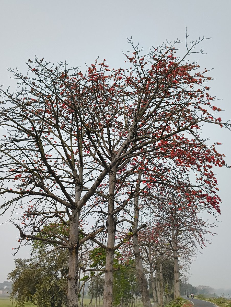 वही हाँ, वही जो सभी प्राणियों को
पिला प्रेम-आसव जिलाए हुए हूँ,
हवा हूँ, हवा, मैं बसंती हवा हूँ।

क़सम रूप की है, क़सम प्रेम की है,
क़सम इस हृदय की, सुनो बात मेरी—
अनोखी हवा हूँ, बड़ी बावली हूँ!
•
/केदारनाथ अग्रवाल🌸