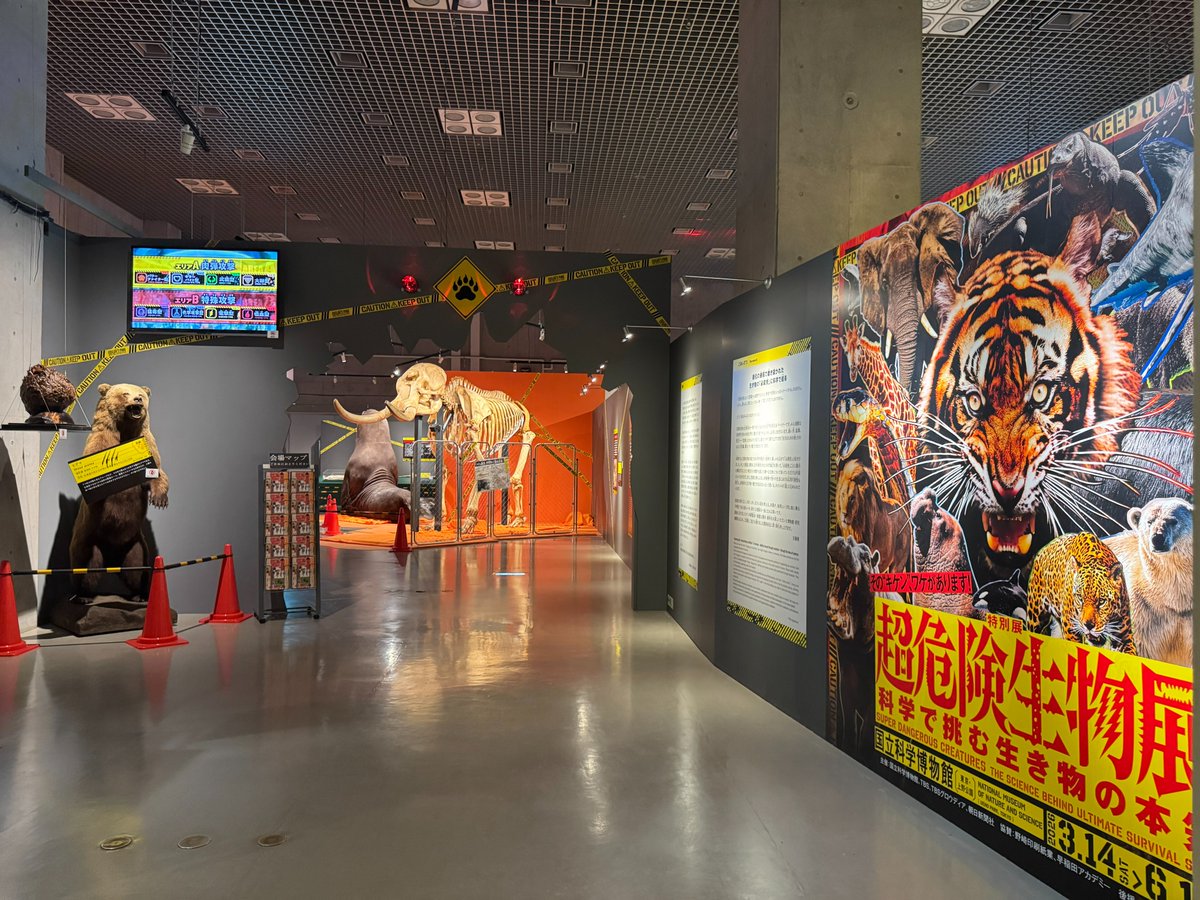 【公式】超危険生物展 tweet media
