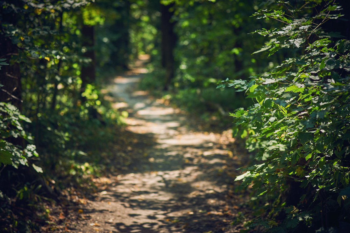 Rorat FeiadIend. tweet media