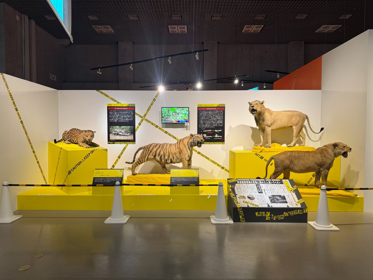 【公式】超危険生物展 tweet media