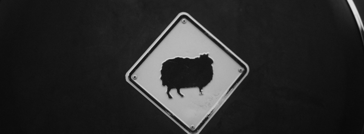 Use More Paper tweet media