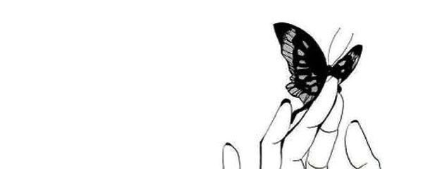 𝒔 𝒉 𝒆 𝒂 ༊ || order by wa di bio tweet media