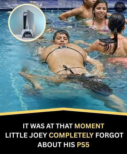 Scott Cheggs tweet media