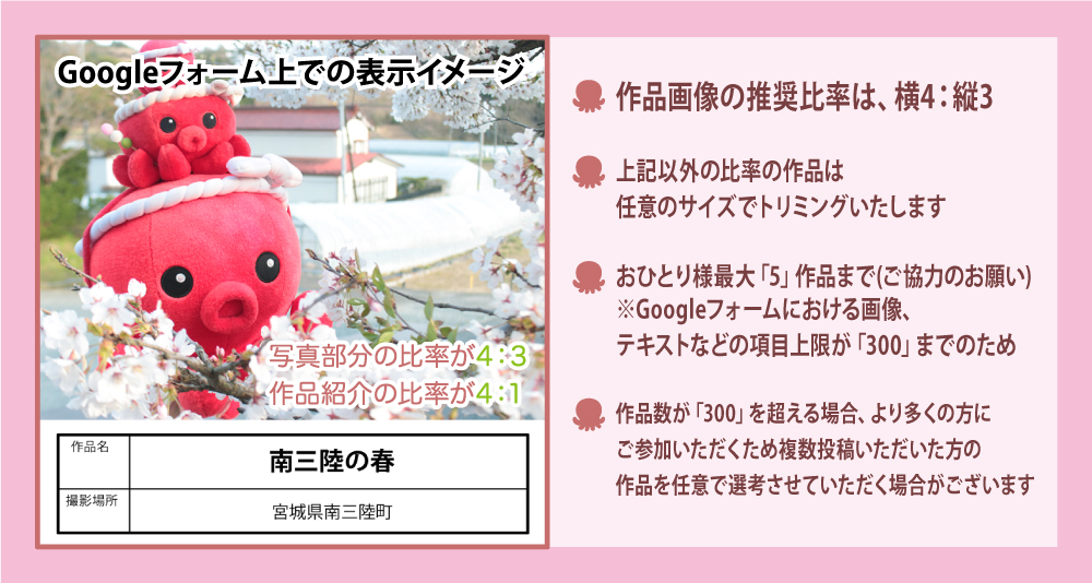 オクトパス君 tweet media