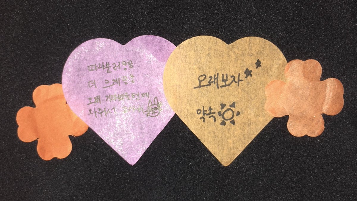 뽀용 tweet media