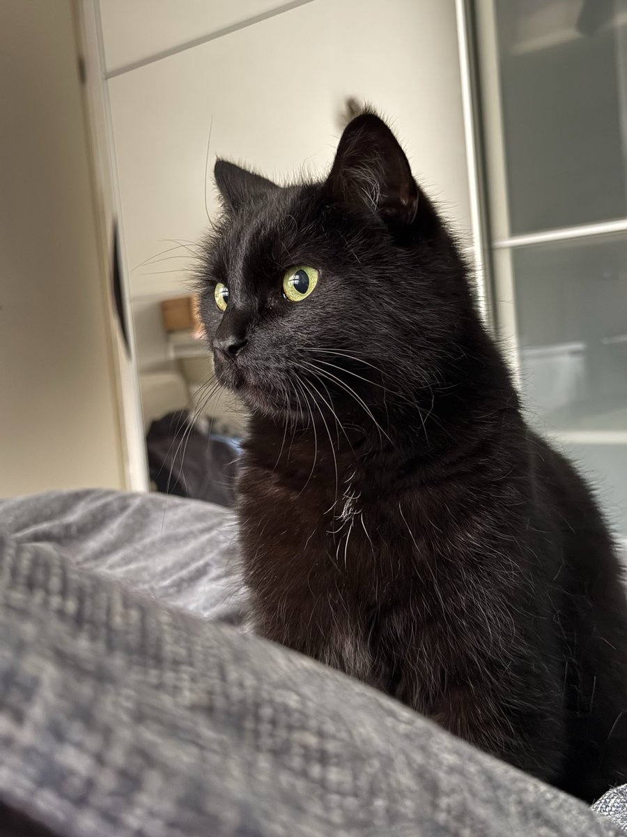 Roger van der Kraan tweet media