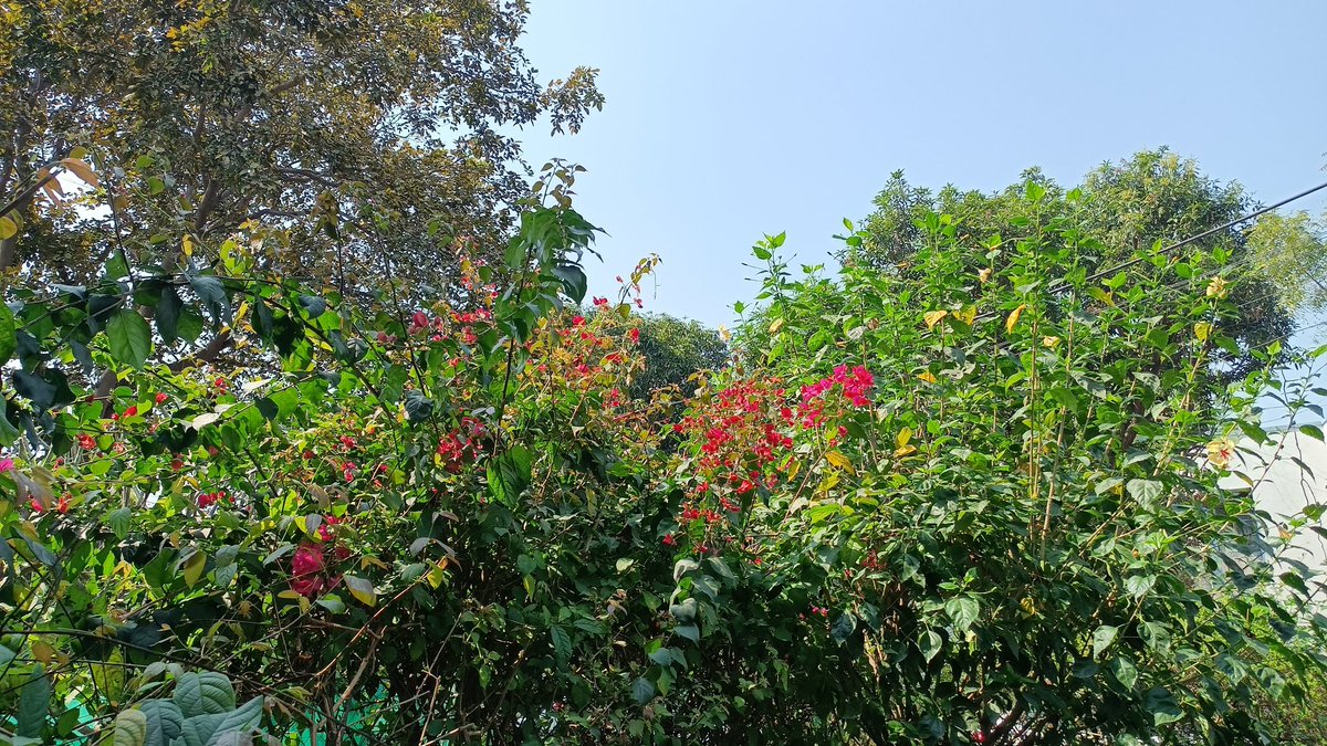 Ankur Gupta🇮🇳 tweet media