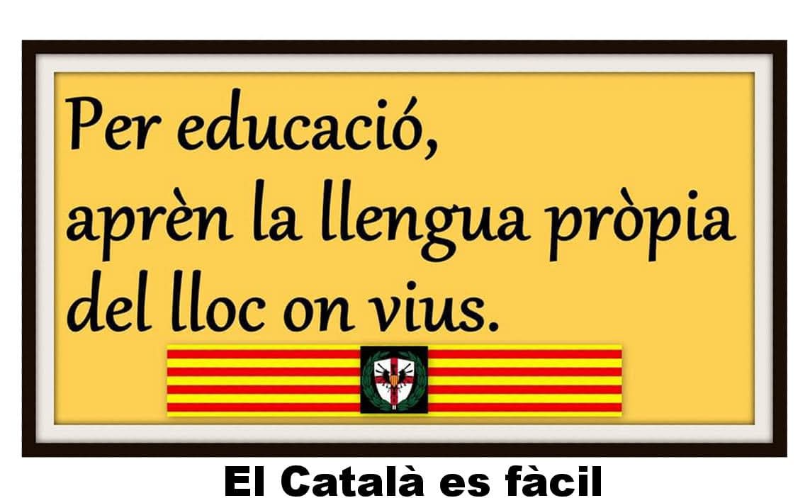 X4VI - 988 🏴󠁧󠁢󠁥󠁮󠁧󠁿 (@xavi63603549) on Twitter photo 