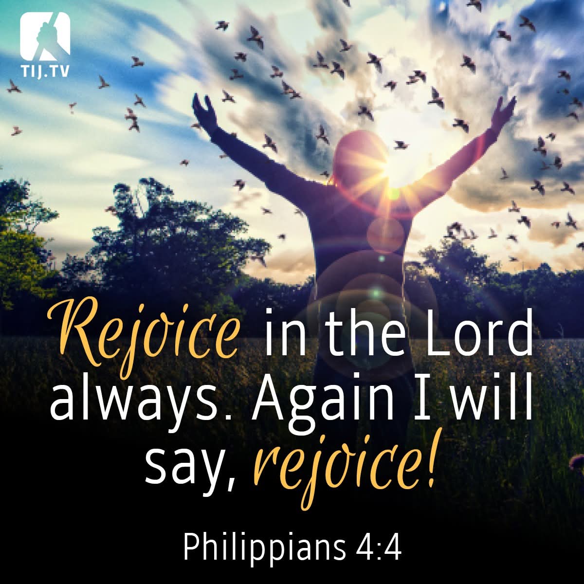 Godwakeupcall's tweet image. "Rejoice in the Lord always. Again I will say, rejoice!" Philippians 4:4 [NKJV]

#Rejoice #Joy #Happiness #Faith #Praise #ChristianLife #Positivity #bibleverse #bible #biblestudy #TheIncredibleJourney #TIJ #GaryKent