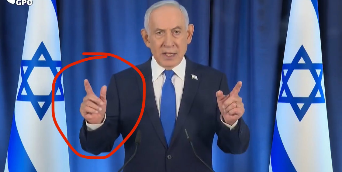 Hamza Çeliker tweet media