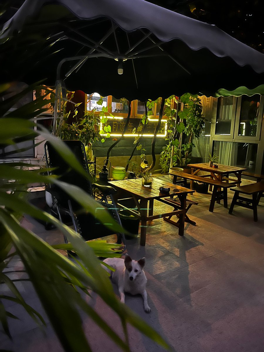 МедСпорт-Импорт tweet media