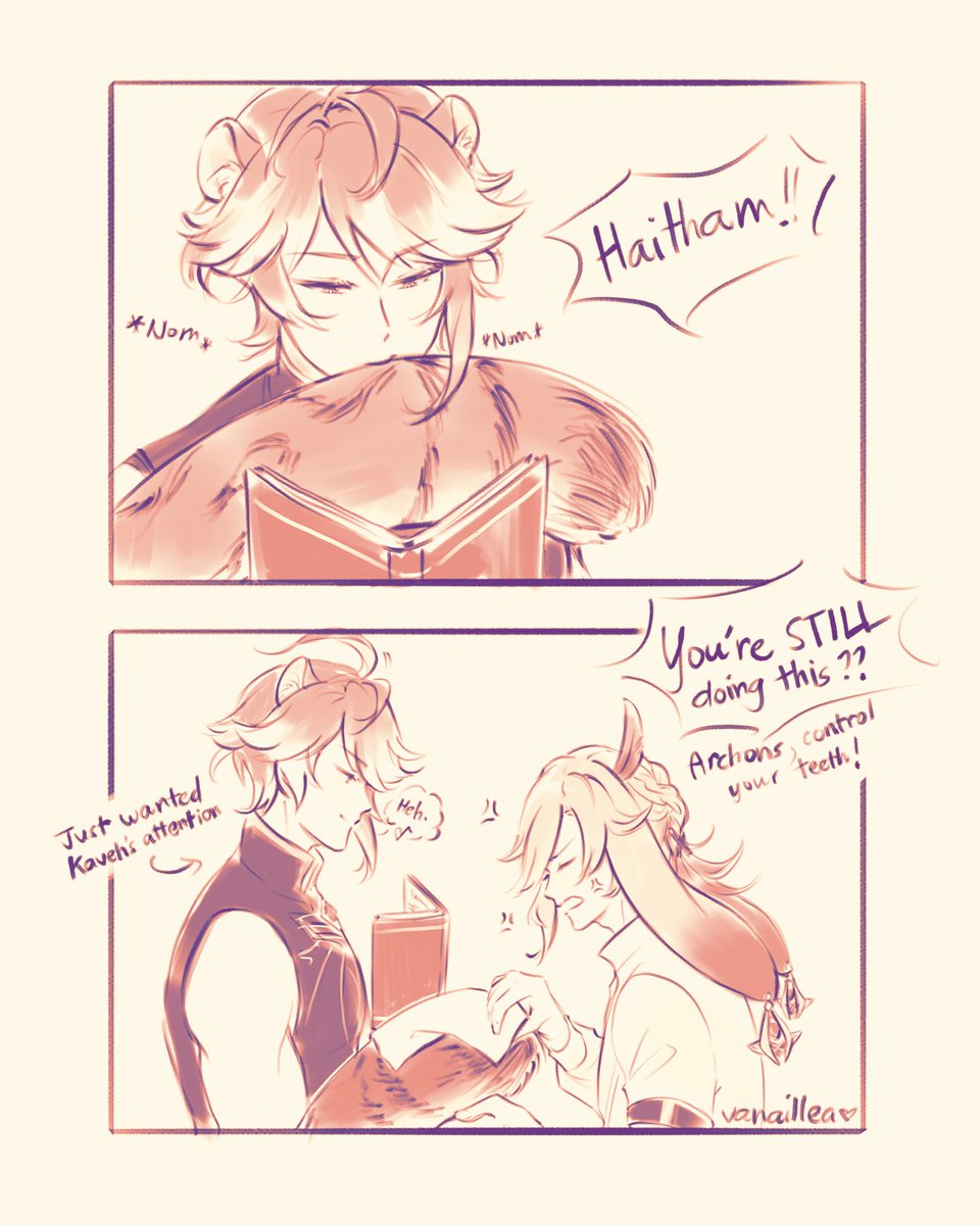 [ genshin impact | haikaveh ] pt. 2 *strategic nomming* 🐱 #genshinimpact #haikaveh #alhaitham #kaveh