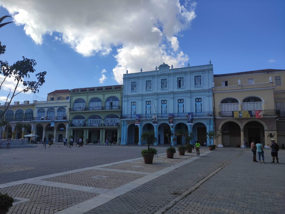 Professional Hater tweet media