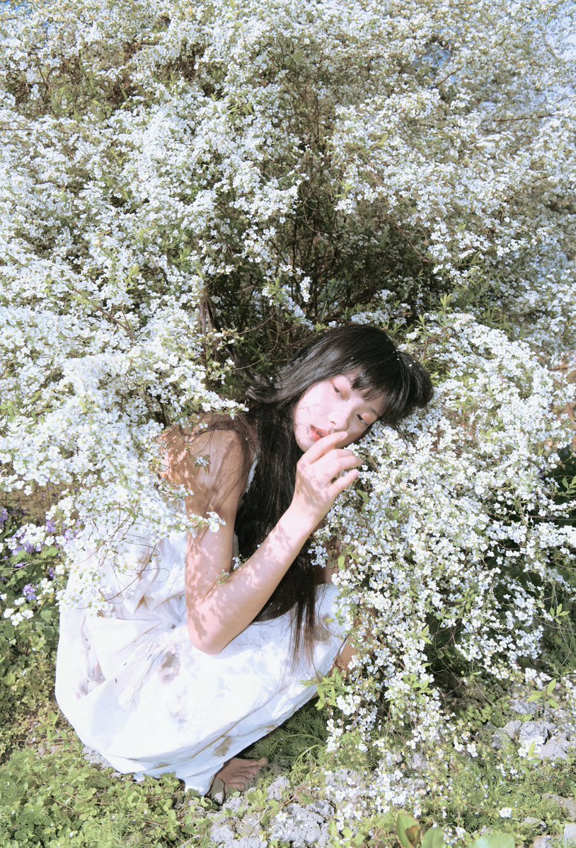 西游朽 tweet media