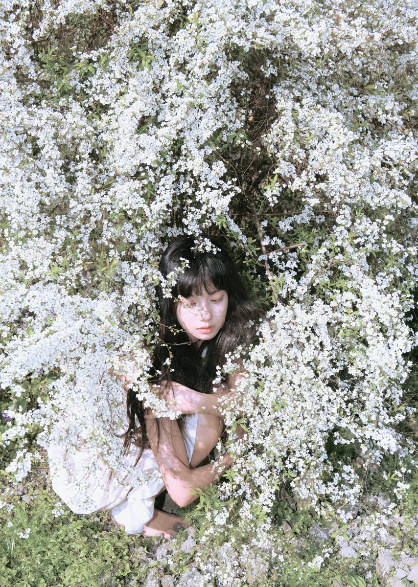 西游朽 tweet media