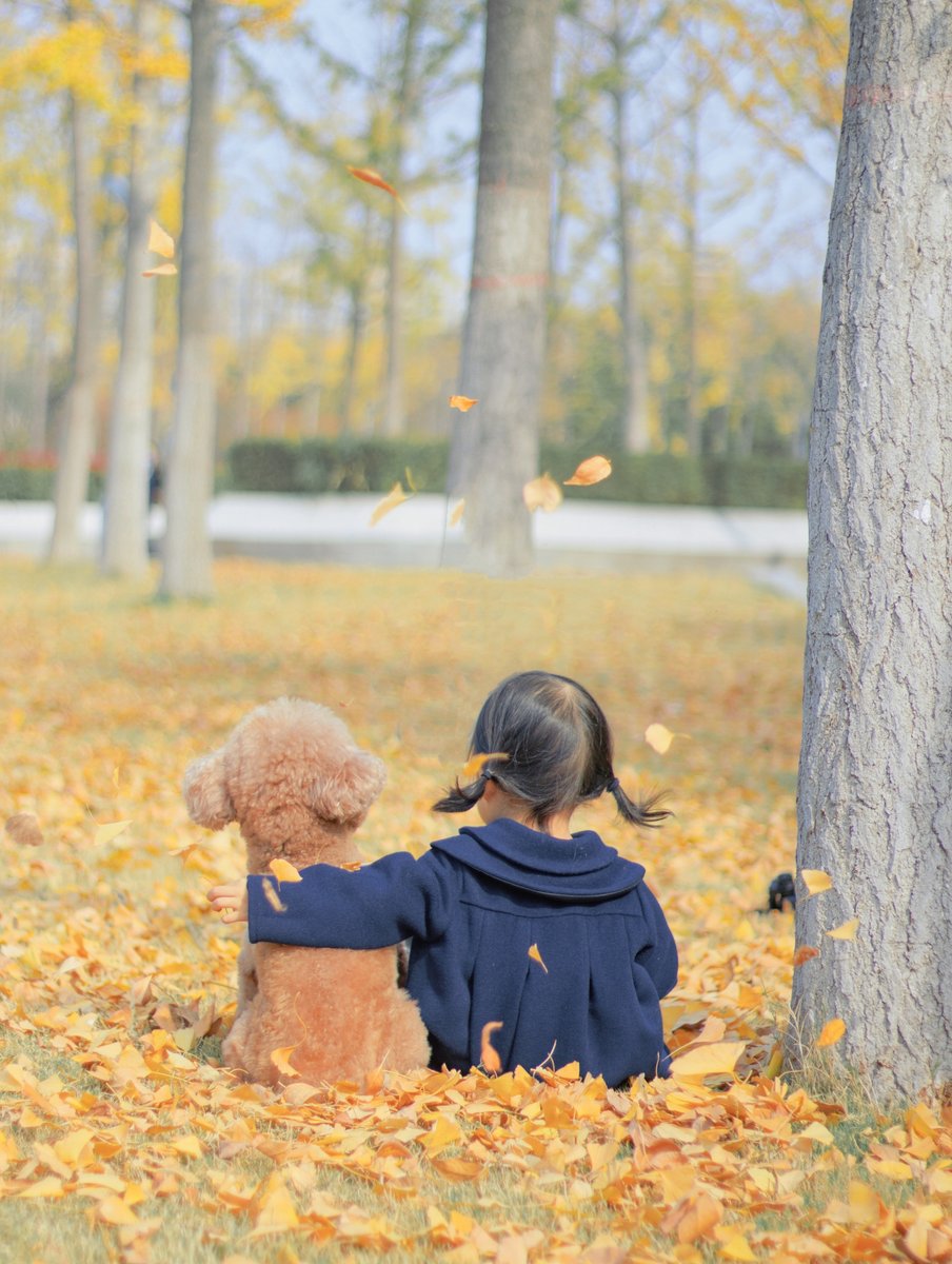 逍摇XTauy tweet media