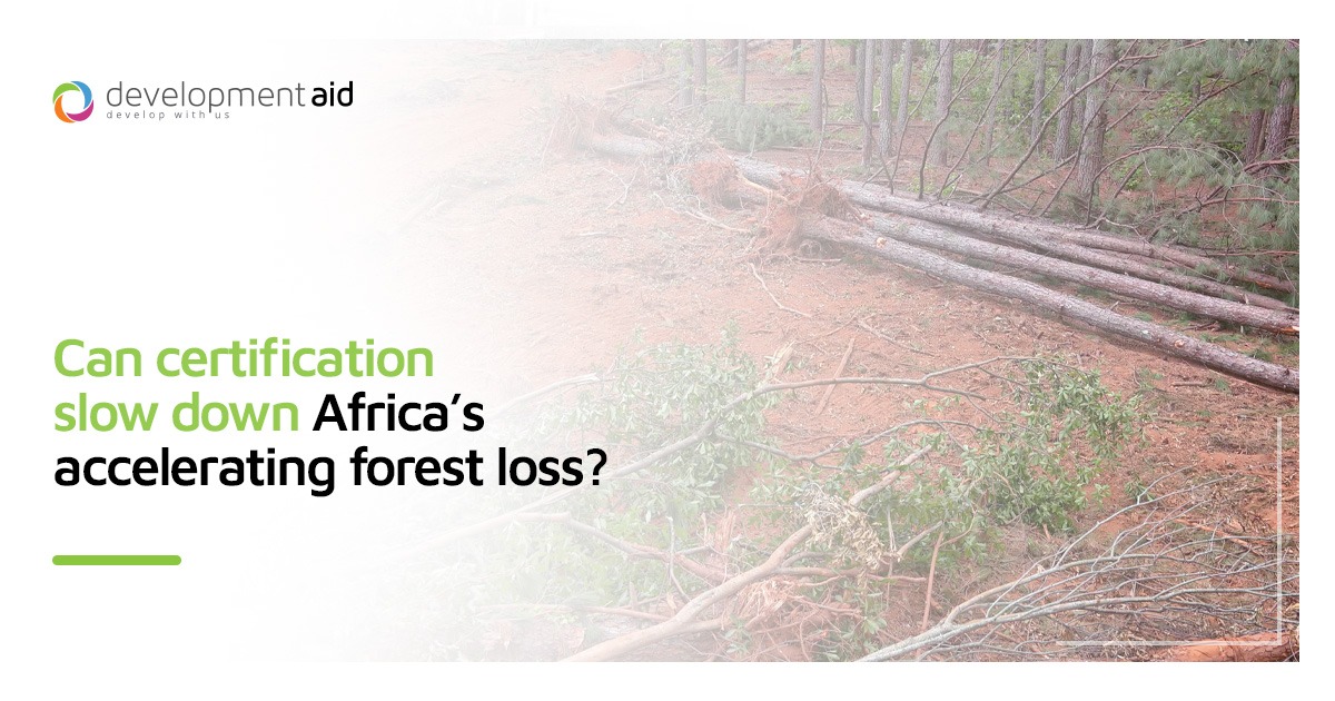 DevelopmentAid News tweet media