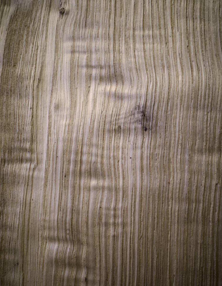 YoshiyukiMakino's tweet photo. Split wood reveals the structure of a tree.

Not cut. Not sawn. But opened. https://t.co/vjJq6vDPDf