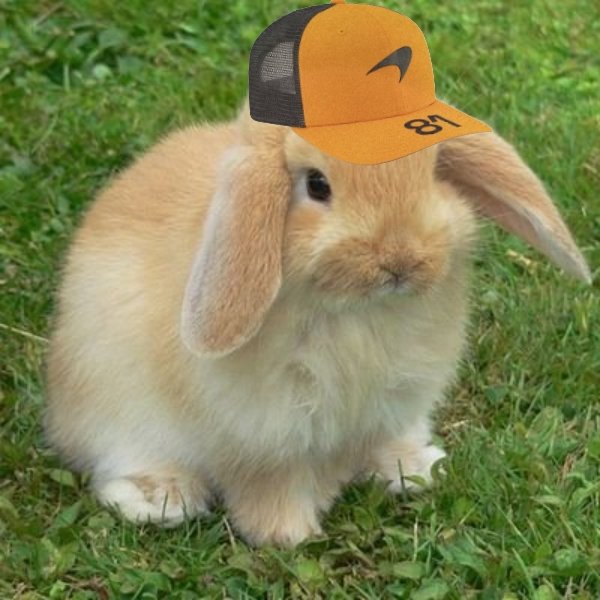 ♡ zuzia ⁸¹ oscbun truther tweet media