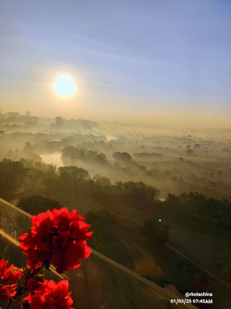 rkolachina's tweet image. #Backlit
#theme_pic_india_flowers