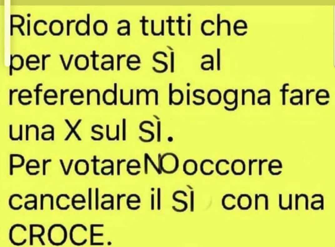 Gabriele tweet media