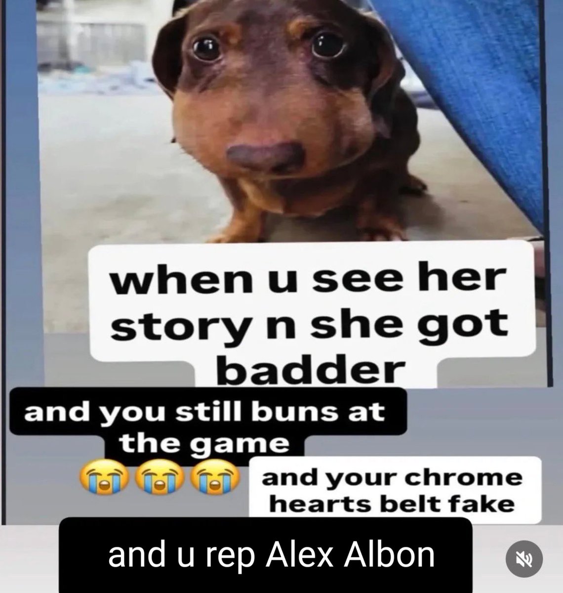 Sandwichxander Hambone tweet media